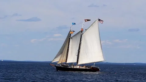 Great Schooner Race Stock Footage 172538544