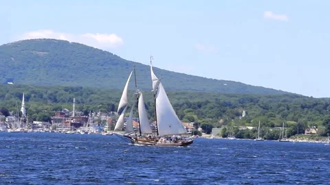Great Schooner Race Stock Footage 172538545