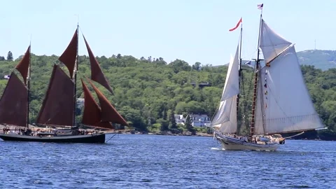 Great Schooner Race Stock Footage 172538546