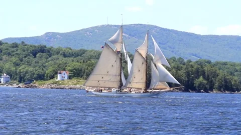 Great Schooner Race Stock Footage 172538569