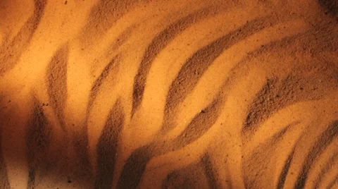 Great Seal of the US Видео 8825599