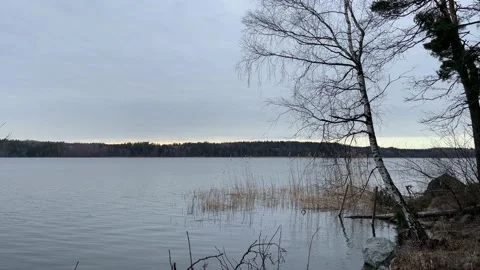 Great seascape one spring day. Stock Footage 240035997