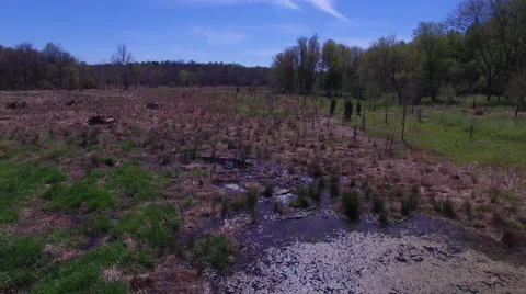 Great Seneca Stream Valley Park Wetland Flyover Video stock 62440893