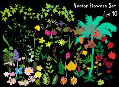 Great set of flowers Stock Illustration
