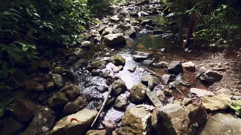 Great shot of Rocks and Greenery at a Rainforest 動画素材 79734167