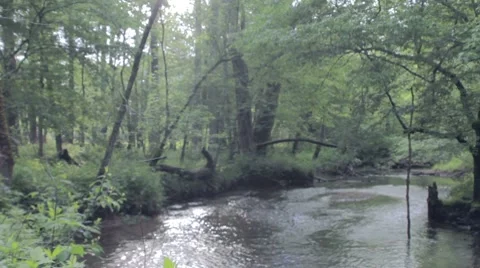 Great Smokey Mountains Stream Stock Footage 7766019