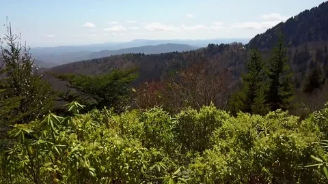 The Great Smoky Mountains Stock Footage 77318009