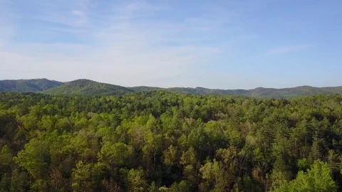 The Great Smoky Mountains Stock Footage 77333161