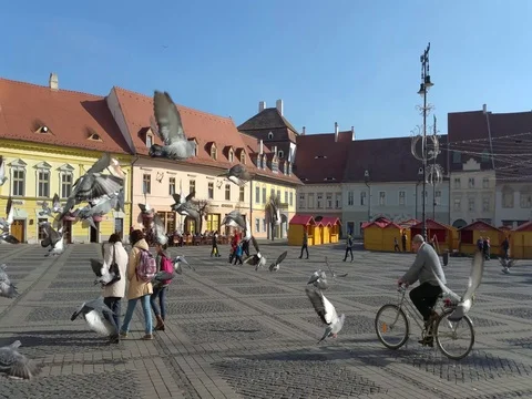 Great Square, Sibiu, Romania Stock Footage 71993348