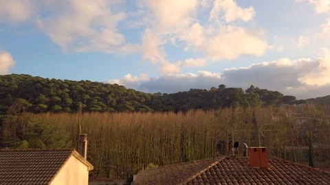 Great sunset coloring the trees with interesting branch textures Video stock 122043889