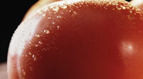 Great tasting tomatoes   Video stock 3678759