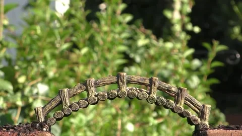 Great Tit Bird Video stock 229759713