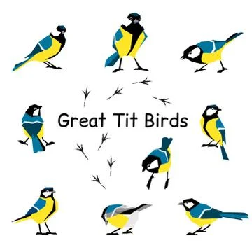 Great tit. Feathered in a flat style isolated on a white background. Stock Illustration