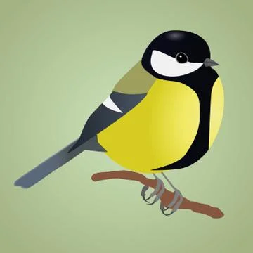 Great tit Illustrazione stock