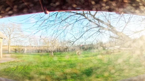 Great Tit Lands at Bird Feeder, Winter Garden POV, Latvia, Slow Motion Stock Footage 340981344