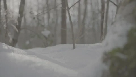 Great tit in snow Part3 Stock Footage 246298329