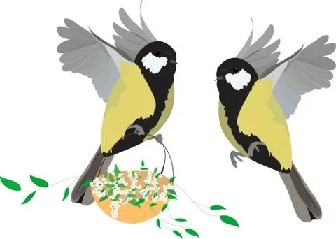 Great tit  spring Illustrazione stock