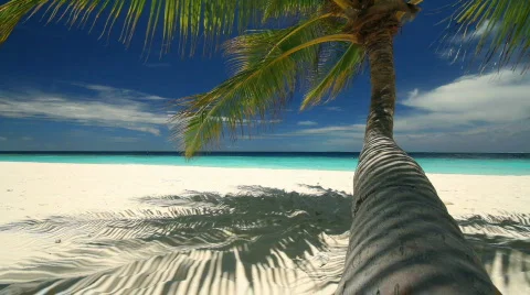 Great vacation background Stock Footage 661298