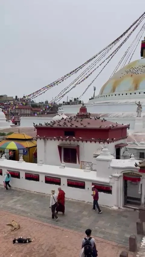 A great view of an ancient Buddhist temple 動画素材 242905496