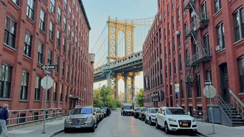 Great view of the Dumbo in Brooklyn. Stock Footage 220321695