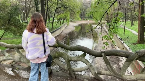 Great view from a fabulous bridge  to a small river. A girl looks at the water. Stock Footage 237723580