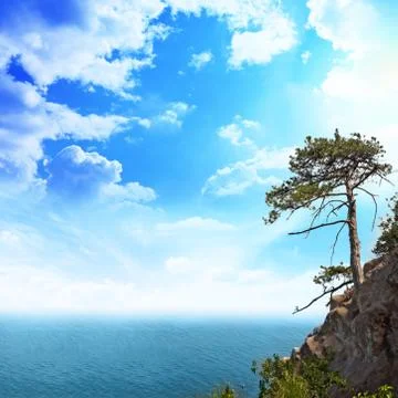 Great view from the mountains Stock Photos