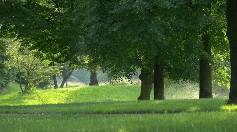 Great view of the park in Munich Stock Footage 53899127