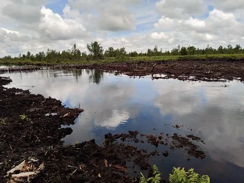 Great view Stock Photos