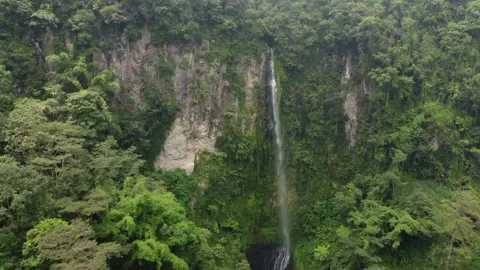 Great view of the waterfall Stock Footage 229370171