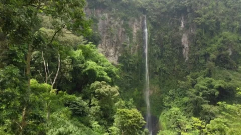 Great view of the waterfall Stock Footage 229370704