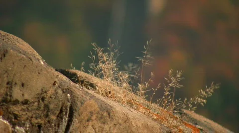 Great wall  1 Stock Footage 276223