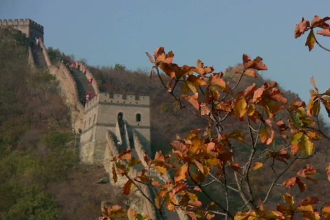 Great wall  5 Video stock 302246