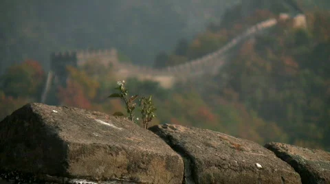 Great wall 6 Stock Footage 277488