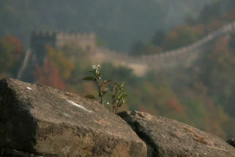 Great wall 6 Stock Footage 302242