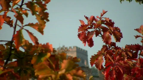 Great wall  7 Stock Footage 277459