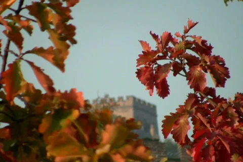 Great wall  7 Stock Footage 302239