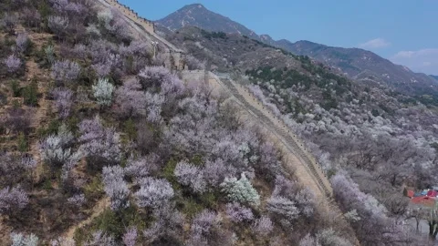 The Great Wall is built along the mountain. Video stock 174499414