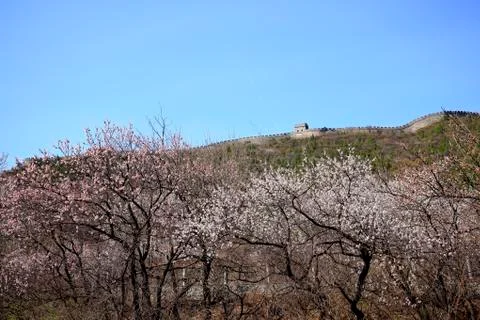 The Great Wall in China Stock Photos