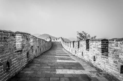 Great wall 写真素材