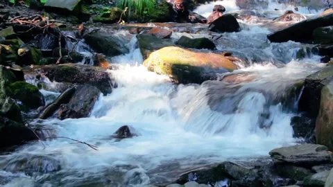 Great water fall in the forest Stock Footage 134965409