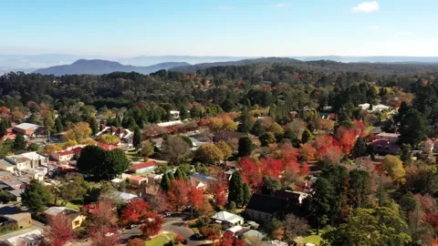 Great Western Highway A32 through Blackheath in Blue Mountains Australia 4k. Stock Footage 281485687