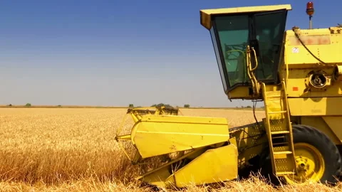 Great Wheat Harvest Stock-Footage 156735205
