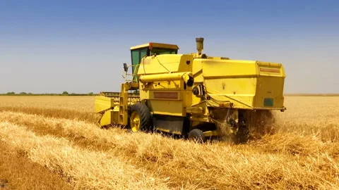 Great Wheat Harvest Stock-Footage 156735405