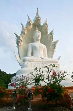 Great White Buddha. 库存照片