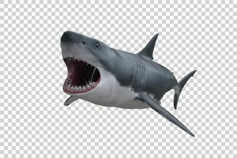 Great White Shark attacking. 3D render isolated on transparent background. Stock Illustration