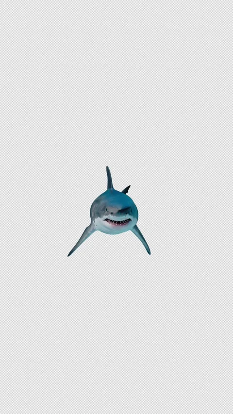 Great White Shark Attacking Toward Camera and Biting Screen Transition Stock Footage 345421687