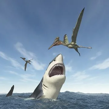 Great white shark attacks the pterosaur Pterodactylus Stock Illustration