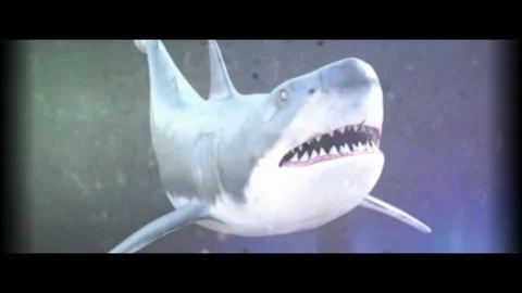 Great White Shark Stock Footage 155192788