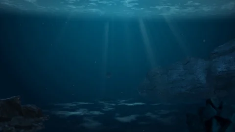 A Great white shark generate computer animation Stock Footage 94262599