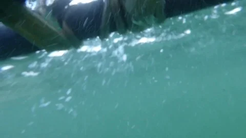 Great white shark tries to enter diving cage Stock Footage 109253642